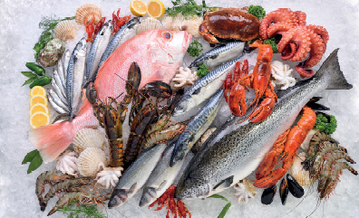 Onko omega-3 todella niin tärkeää aivoillesi?